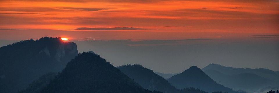 Armando Forgione banner