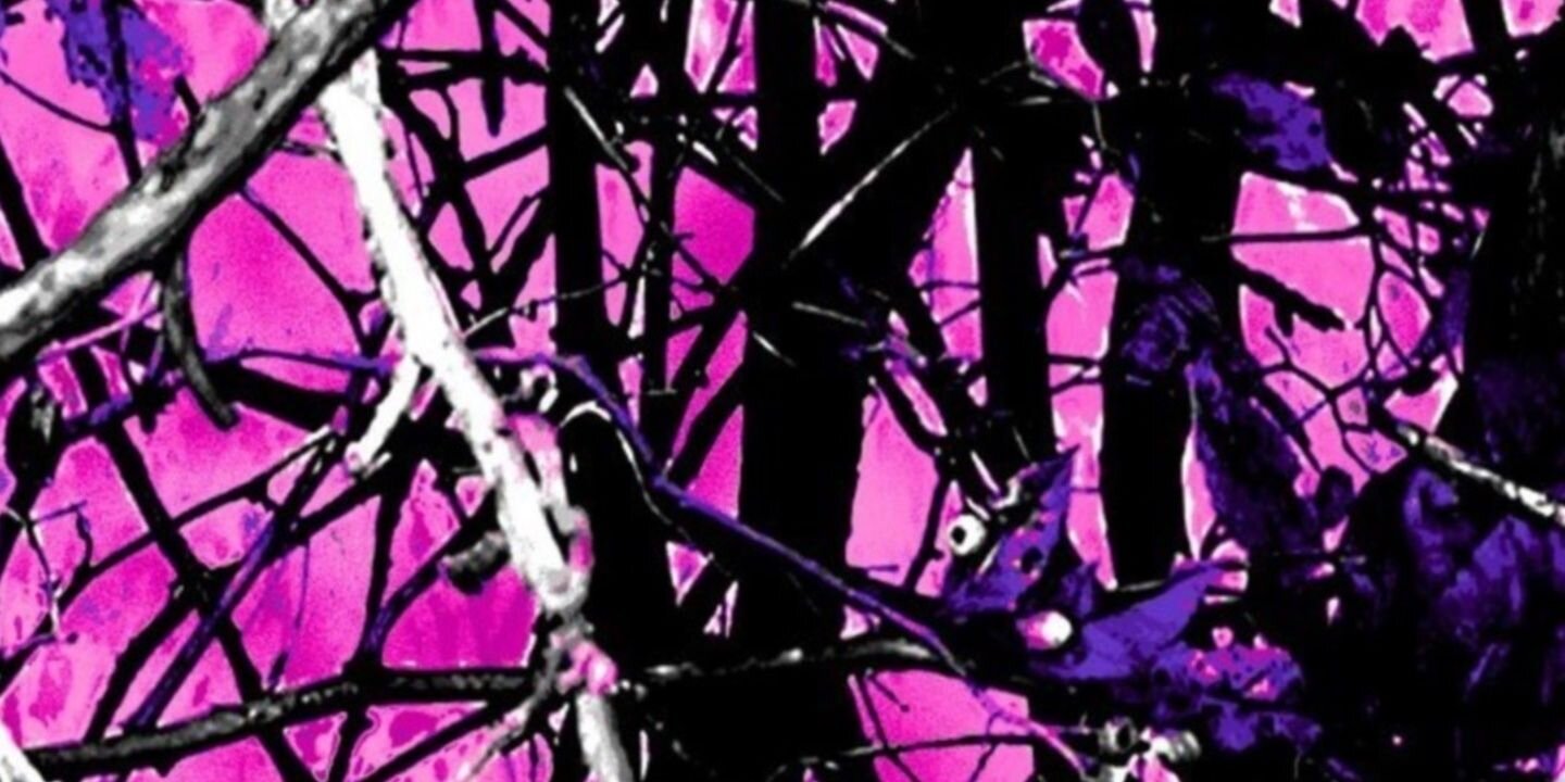 bigsis2007's profile banner image