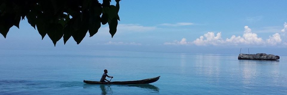 Roxanne Paisible banner