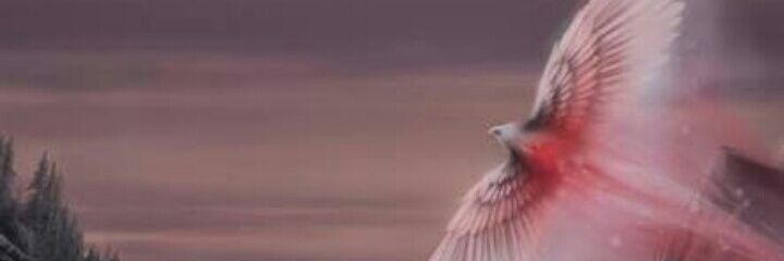 sevdaakd's profile banner image