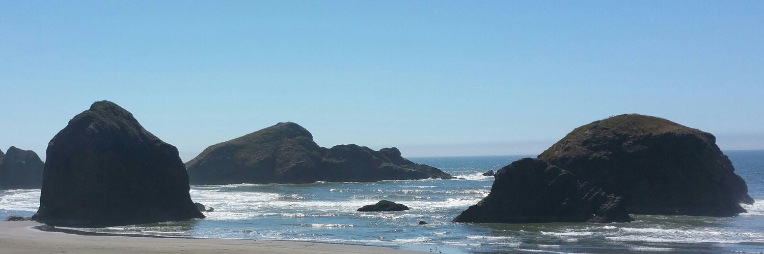 Melissa (Missy) Booker banner