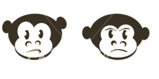 MYMONKEYFAM's profile banner image