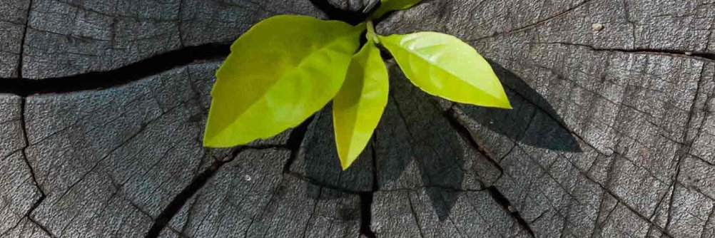 Rana Mumtaz💙 banner