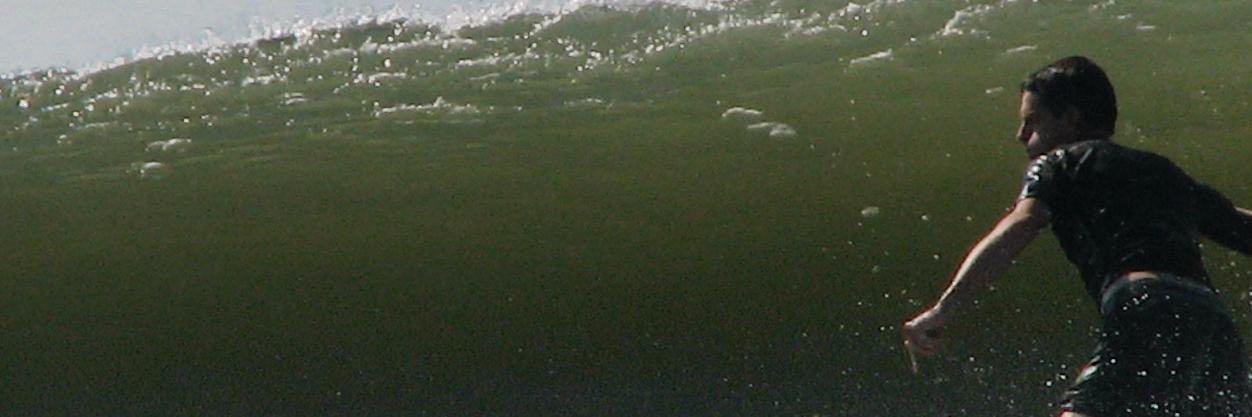 Steven Meadows banner