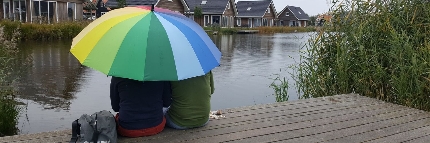 Inge van Beers banner