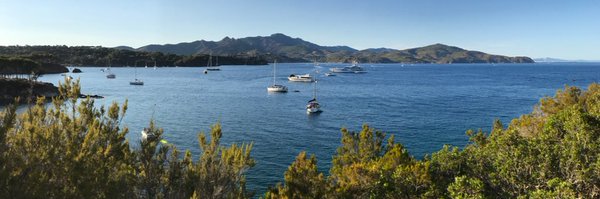 CRavaglioli Profile Banner