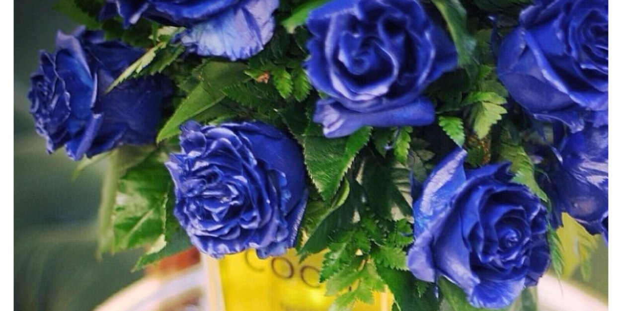 Almuhrah_'s profile banner image
