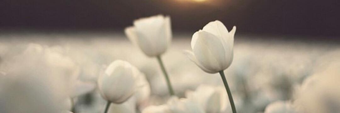 7la14_'s profile banner image