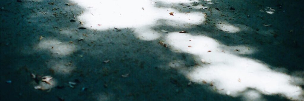 soh__y's profile banner image