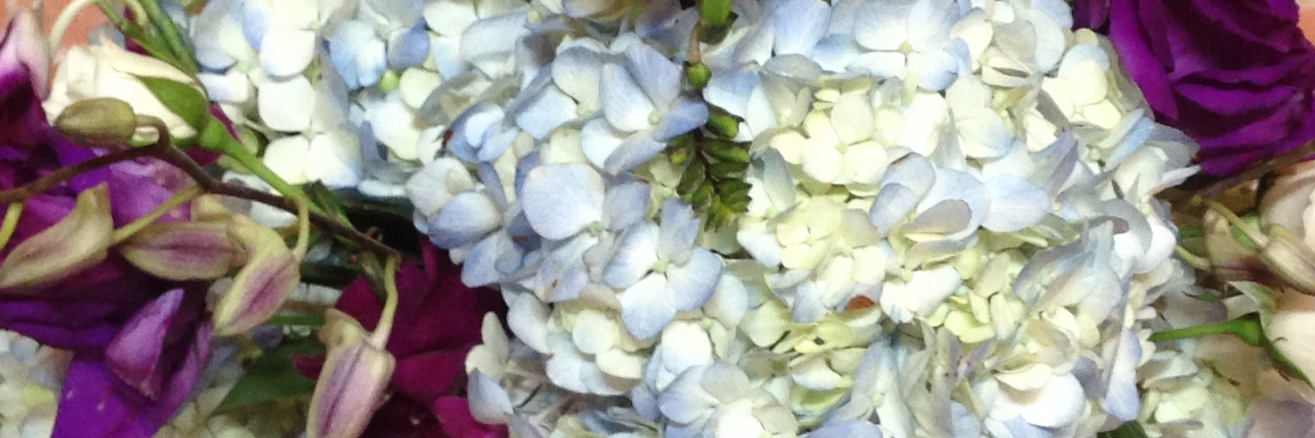 enpointewedding's profile banner image