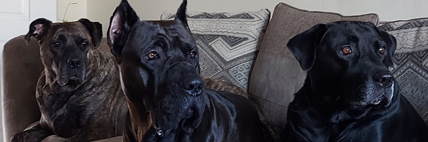 daly_june's profile banner image