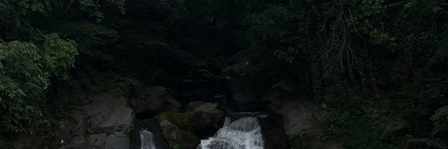 لطيفه banner