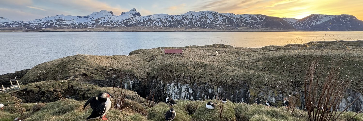 Grégory Millon banner