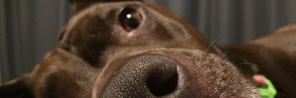 abiwonkenobi's profile banner image