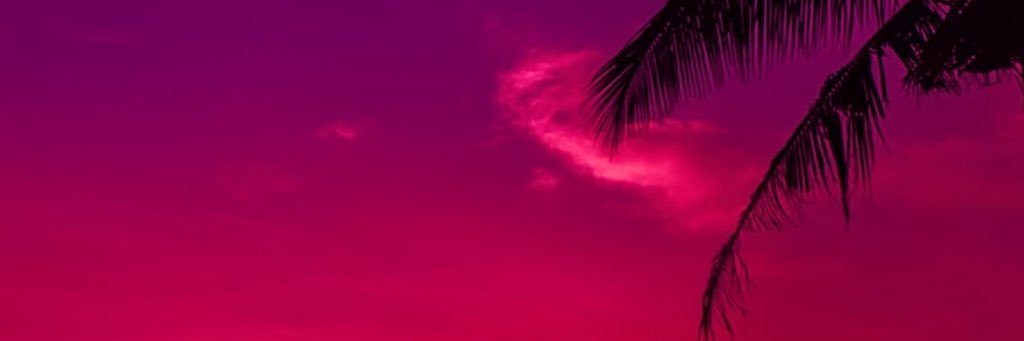 XxQueenBeex's profile banner image