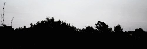 FerHair_'s profile banner image