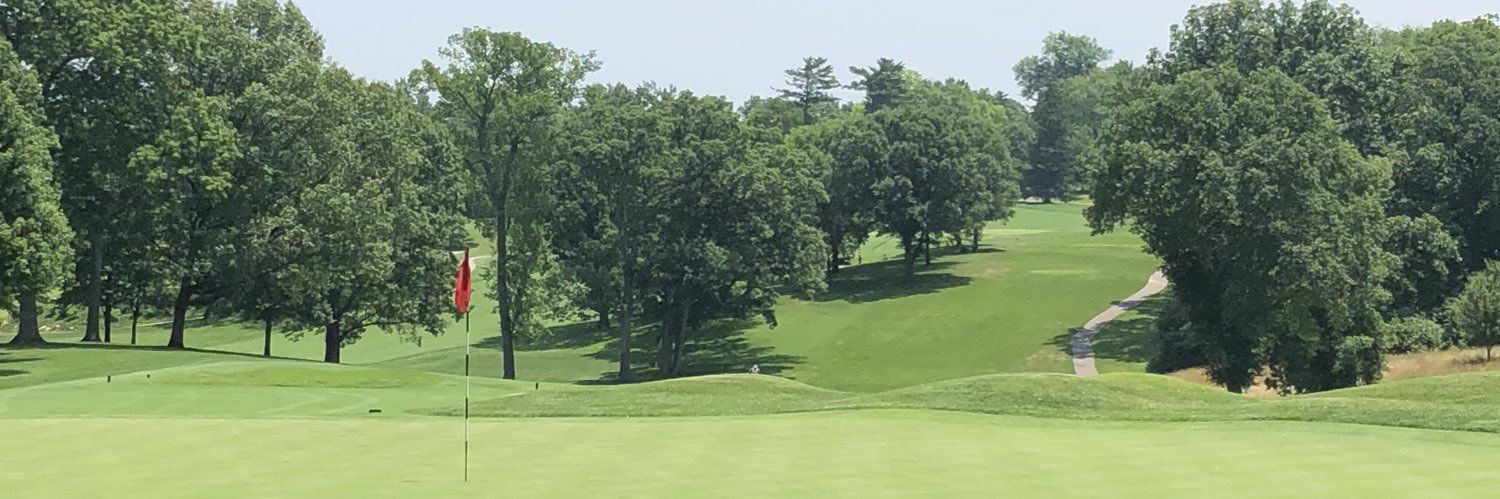 Golf_Reb's profile banner image