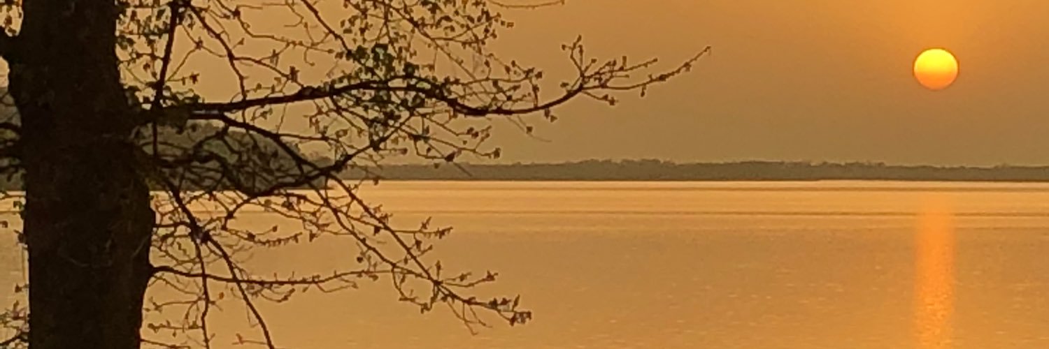 bdbcsr's profile banner image