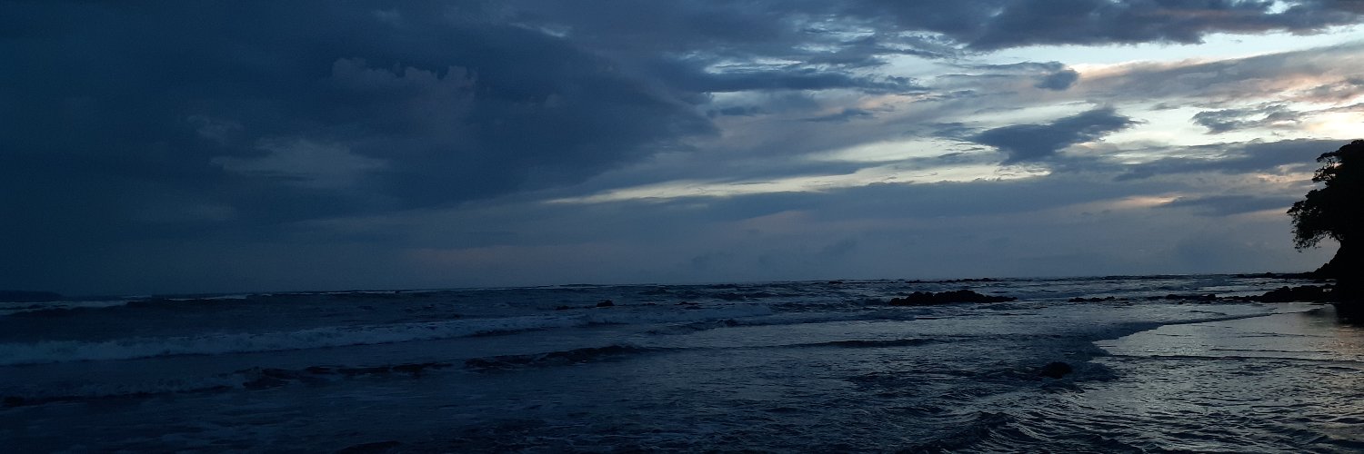 Linnethdelc_'s profile banner image