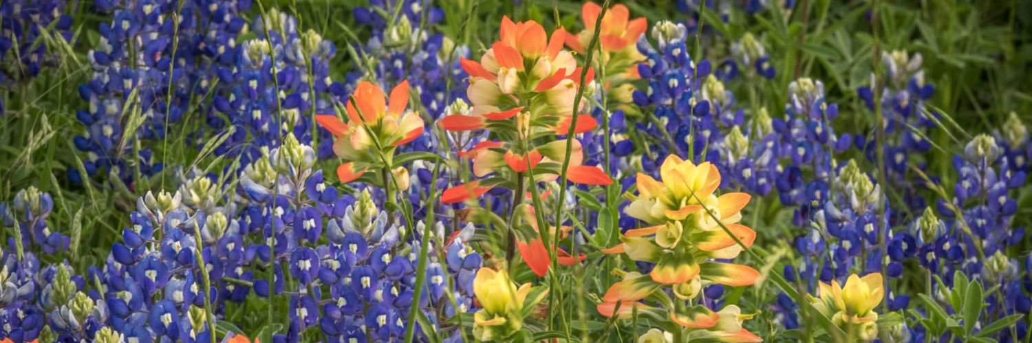 pdn627's profile banner image