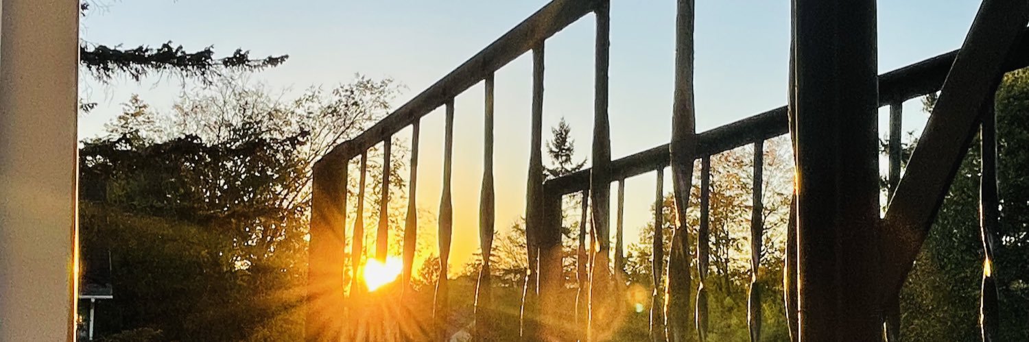 smerwin29's profile banner image
