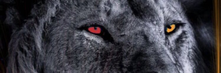 Wormintheapple's profile banner image
