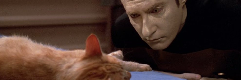 Mewtenant Spot banner
