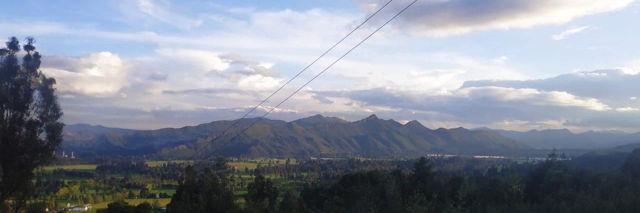 Cristin Corelli banner