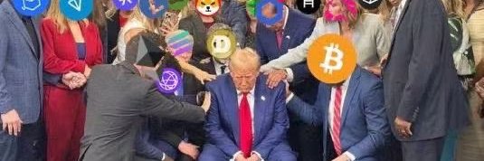 fox tan banner