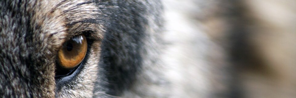 WorrawootPanka1's profile banner image