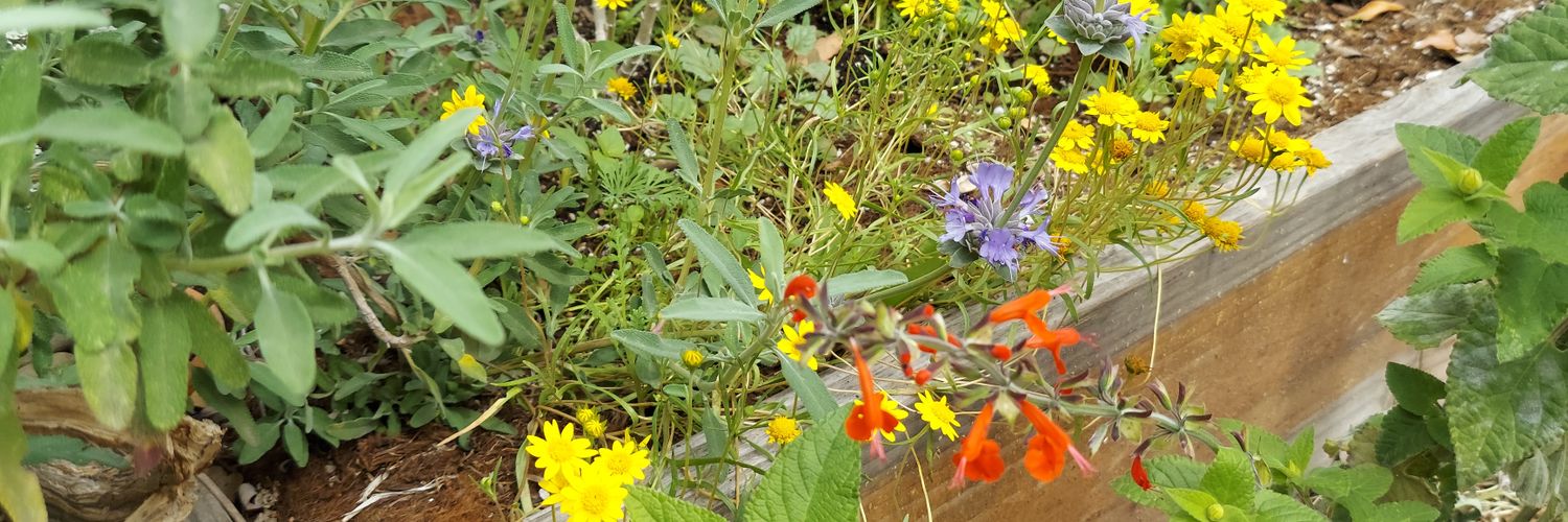 Cal Native Planted banner