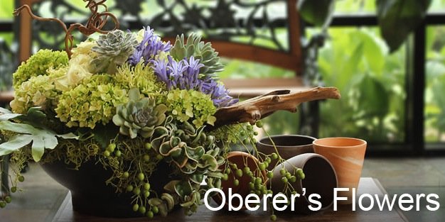 Oberers Flowers banner