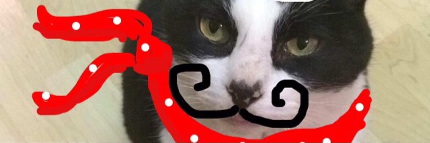 satchelbaggins's profile banner image