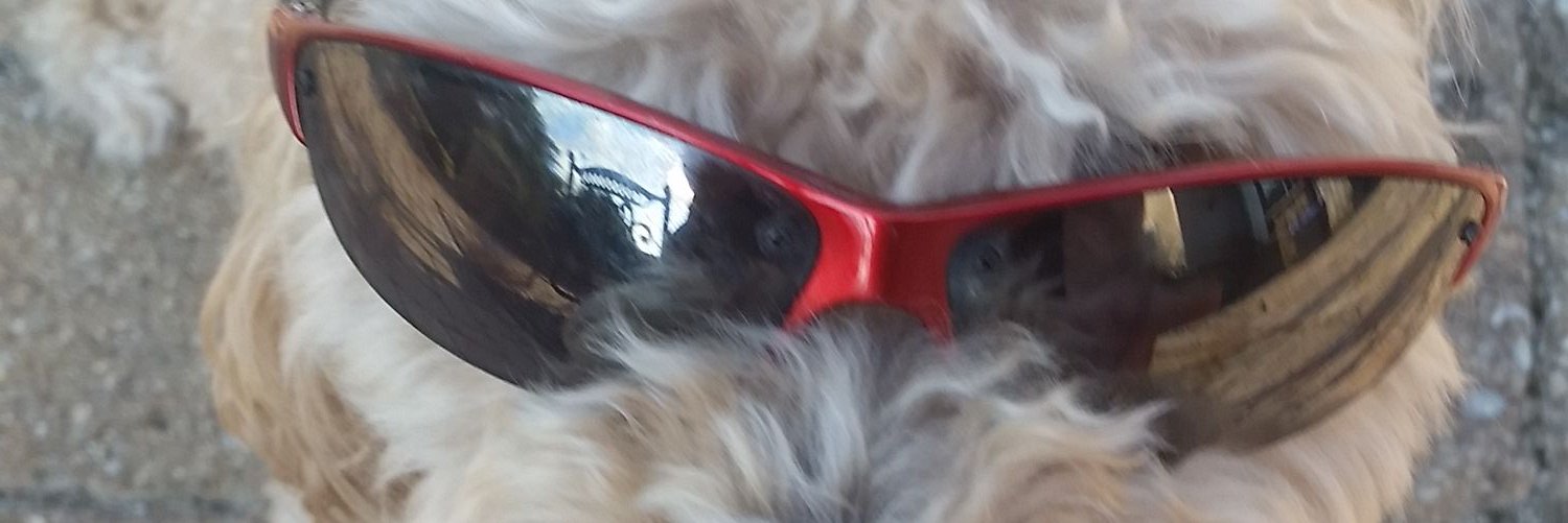 JackInTheBox68's profile banner image