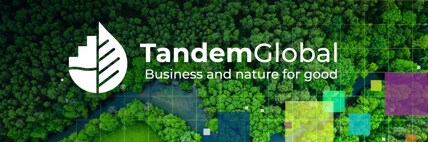 TandemGlobalOrg's profile banner image