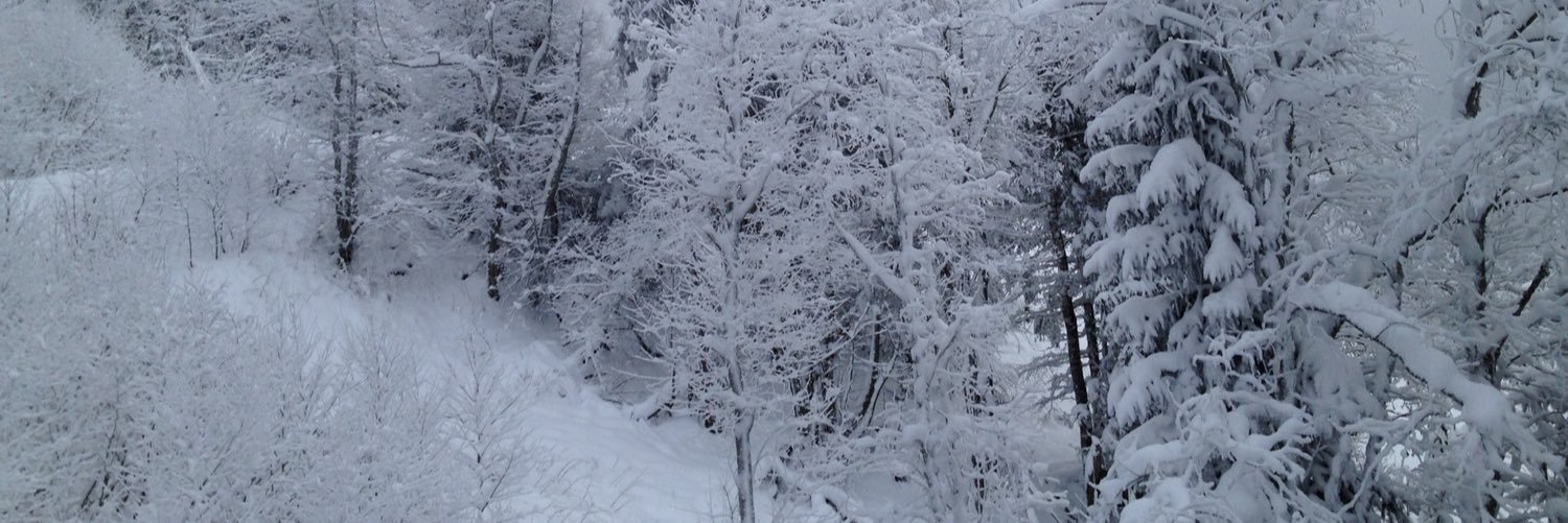 aenault's profile banner image