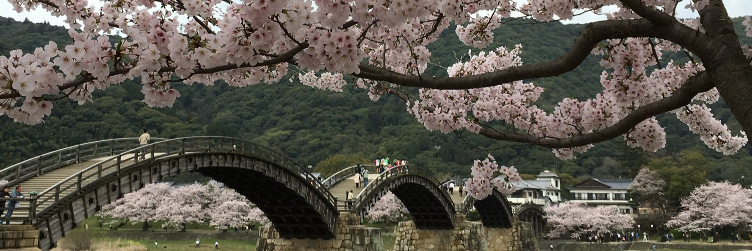 Katherine Brownlee banner
