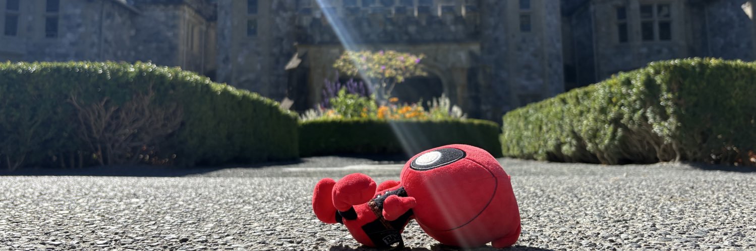 めめこ@MP48/H44 banner