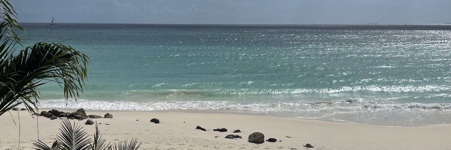 Matt DeLaurentis banner