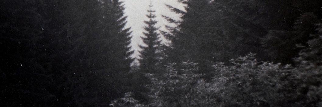 ElenaMainas's profile banner image
