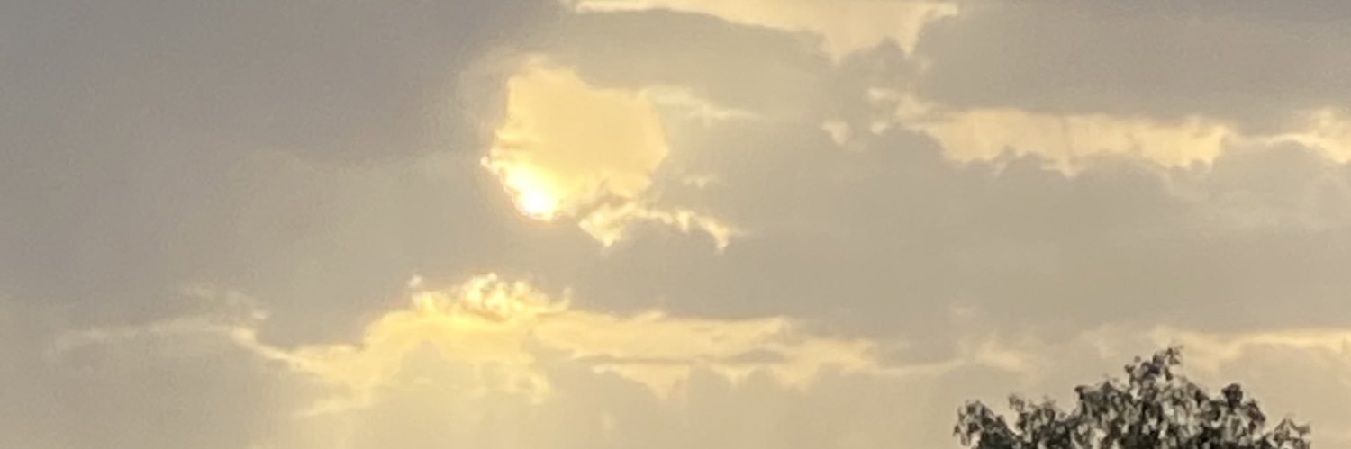 MFCarmen27's profile banner image