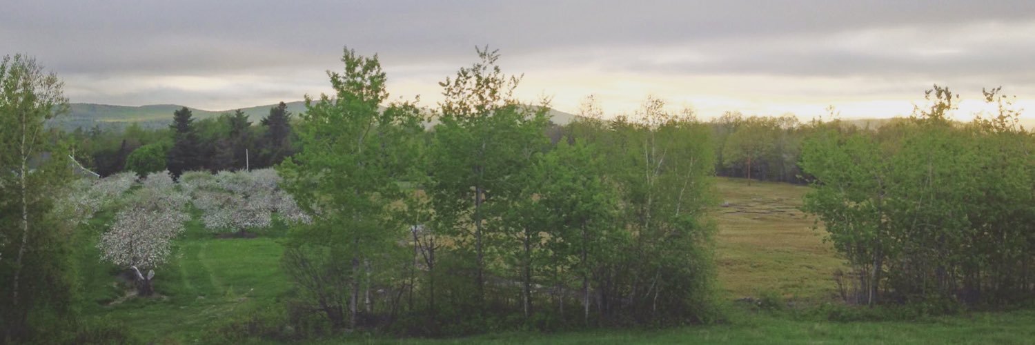 KristiAwalt's profile banner image