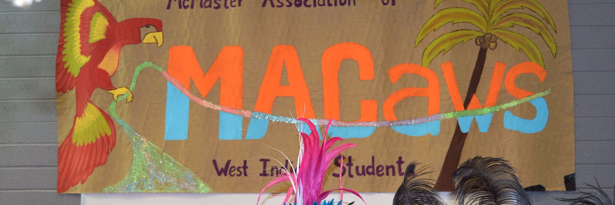 _MACaws's profile banner image