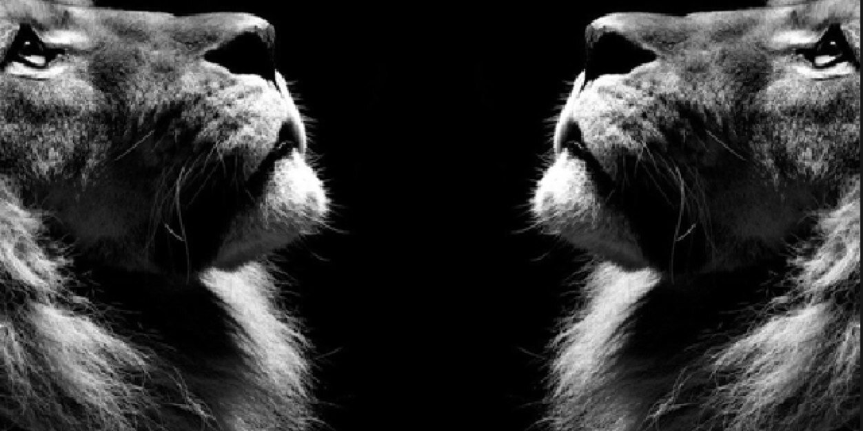 AQueenIsAKing's profile banner image