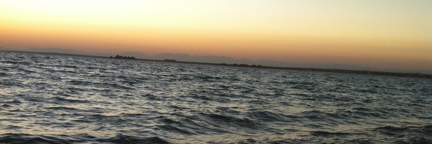 رايق banner