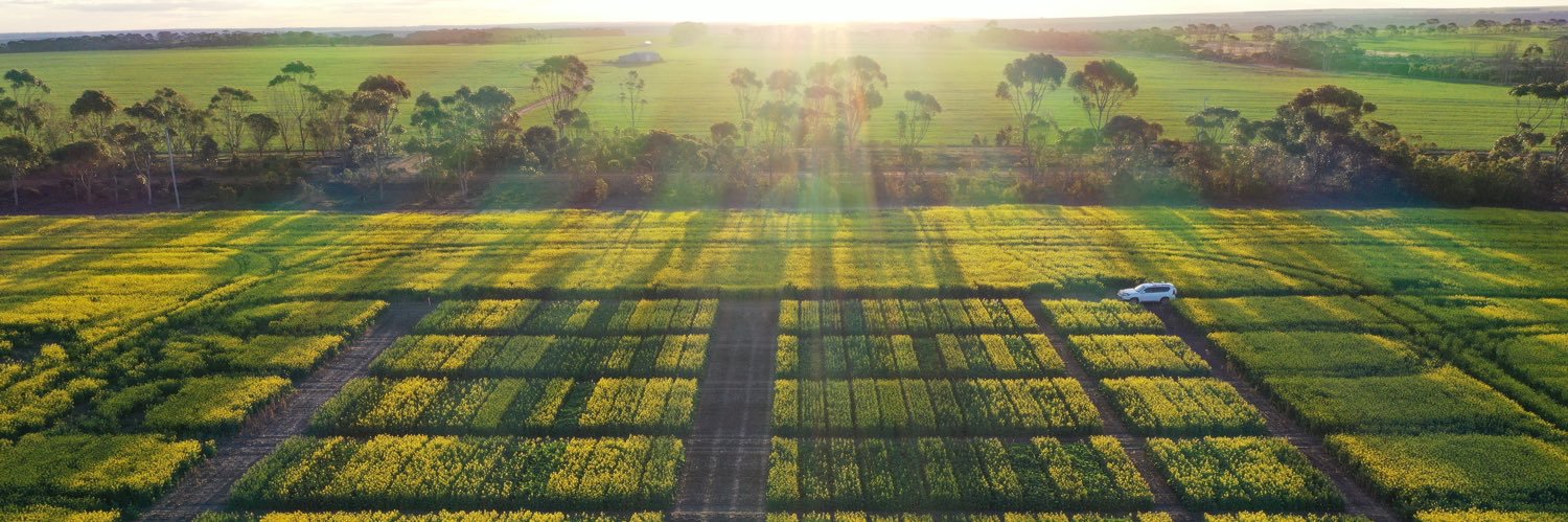 Peter Bostock banner