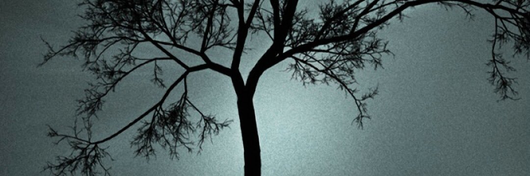 Claudx_x's profile banner image