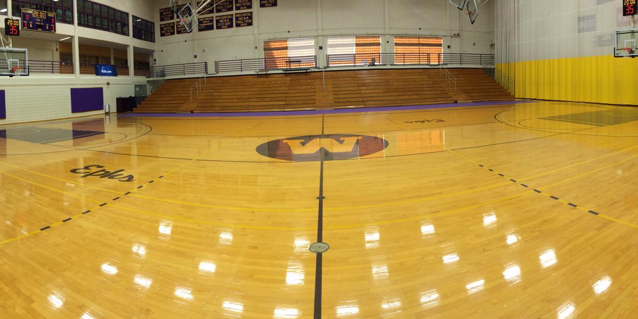 Williams Basketball banner