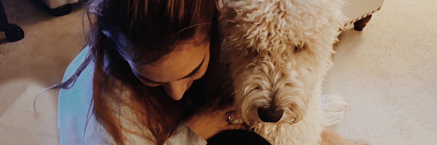 gab_lingel's profile banner image