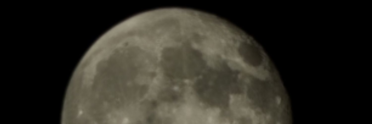 WTFNFI's profile banner image